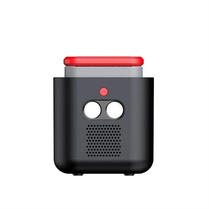 Emergency Generator Backup Battery